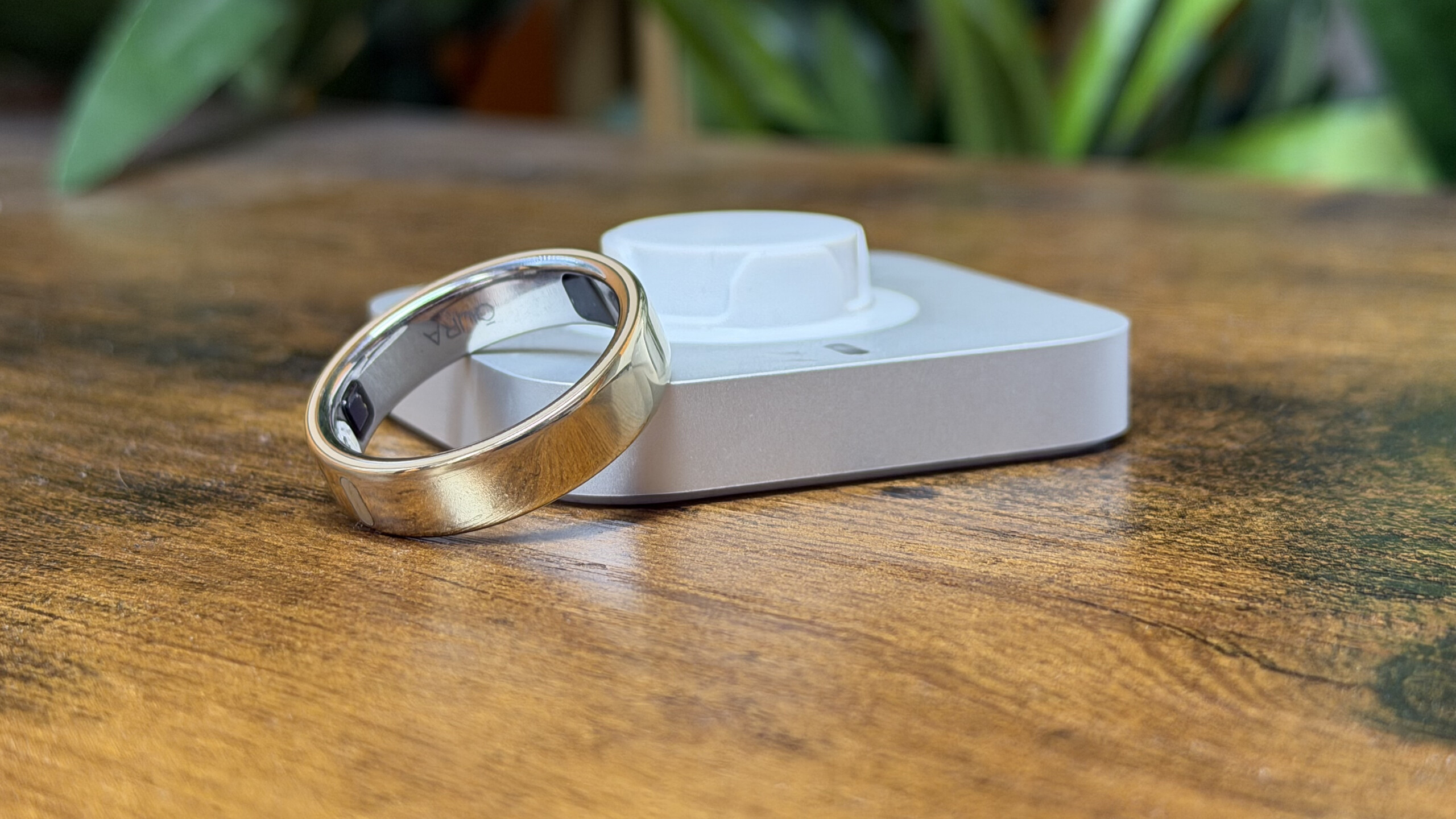 Garmin Cirqa Smart Ring: 10 Variants Spotted as Oura Rival Nears Garmin Cirqa Smart Ring: 10 Variants Spotted as Oura Rival Nears